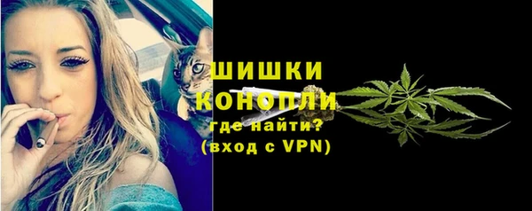 СК Снежногорск