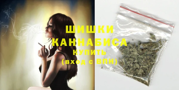 молекула духа Бронницы