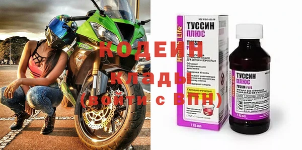 СК Снежногорск