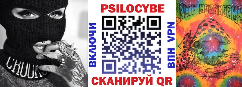 наркота  Волхов  Галлюциногенные грибы Psilocybine cubensis 